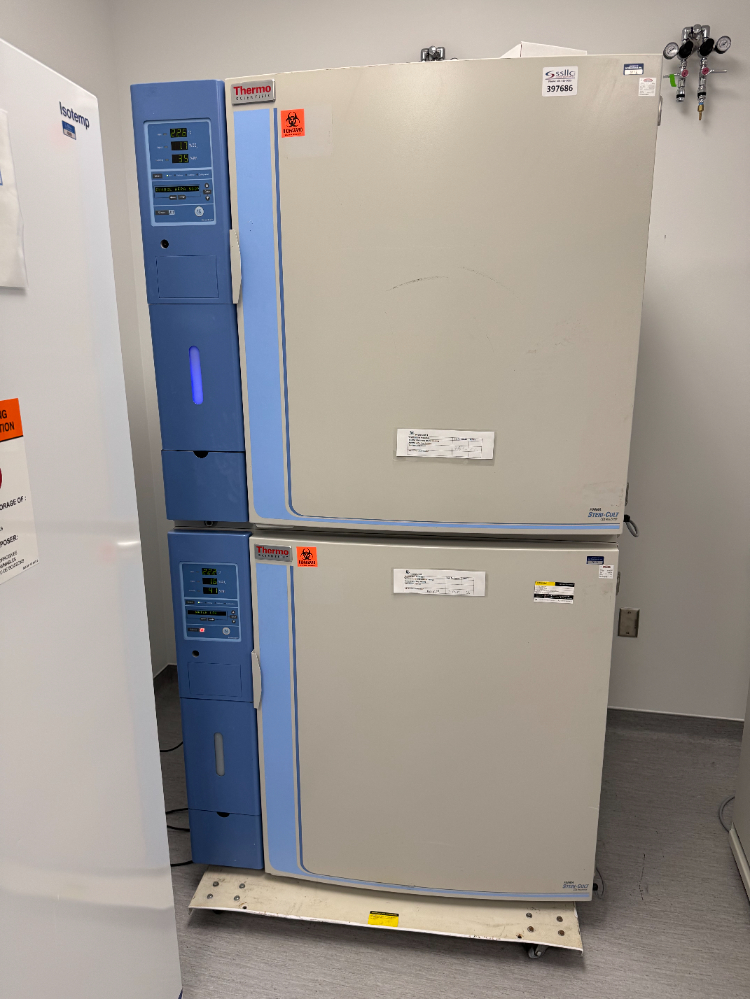 Image of Thermo Forma Steri-Cult CO2 Double Stack Incubator